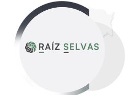 RAÍZ SELVAS
