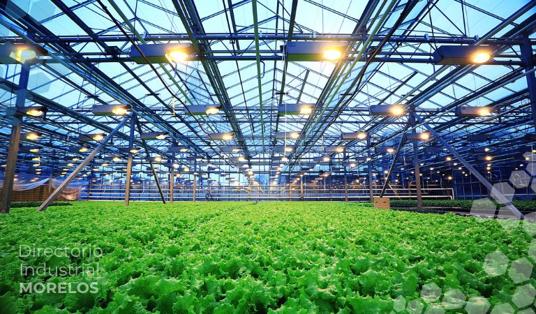 Agroindustria y Medio Ambiente